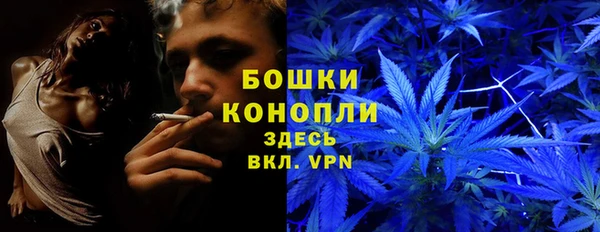 меф Арсеньев
